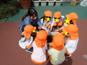 P1016911 - コピー